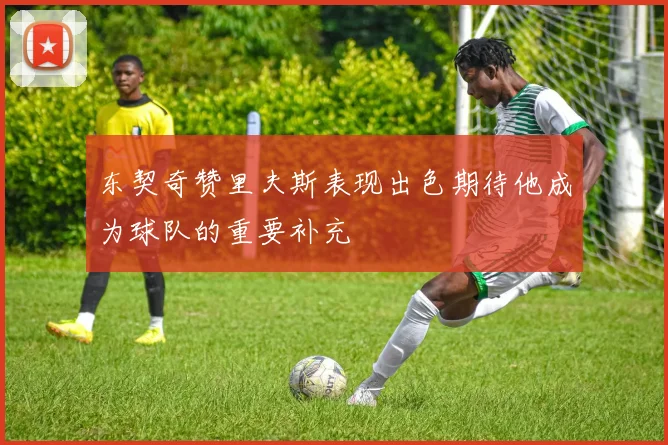 东契奇赞里夫斯表现出色期待他成为球队的重要补充