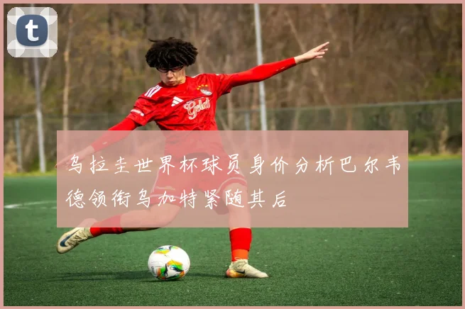 乌拉圭世界杯球员身价分析巴尔韦德领衔乌加特紧随其后