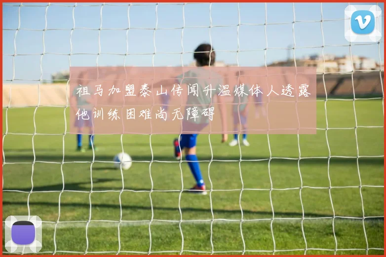 祖马加盟泰山传闻升温媒体人透露他训练困难尚无障碍